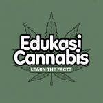 Edukasi Cannabis