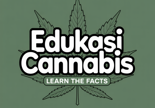 Edukasi Cannabis
